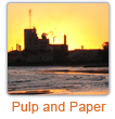 Pulp-paper